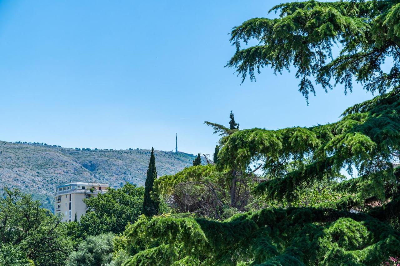 Apartments Zadro Dubrovnik Dış mekan fotoğraf